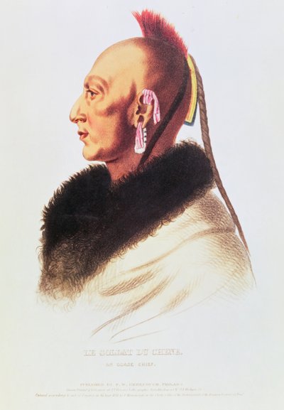 An Osage Chief by American School